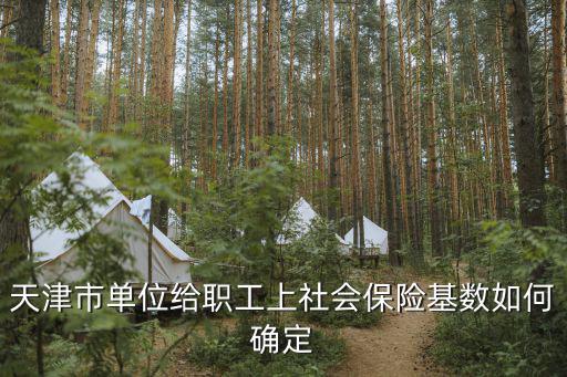 天津市單位給職工上社會保險基數如何確定