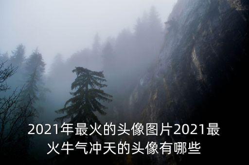 2021年最火的頭像圖片2021最火牛氣沖天的頭像有哪些