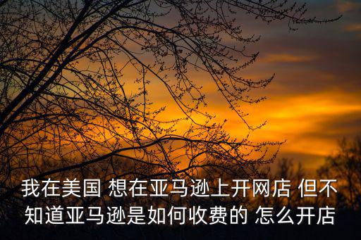 亞馬遜跨境電商開店流程及費用，跨境電商賣家必知Amazon亞馬遜開店需要多少錢