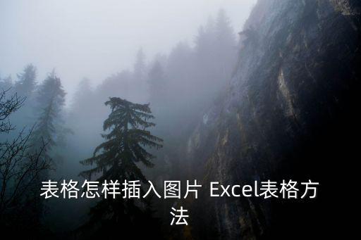 表格怎樣插入圖片 Excel表格方法