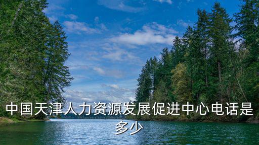 天津市人力資源和開發服務中心地址電話號碼，天津中天天杰人力資源開發服務有限中心地址及電話