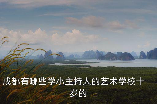 成都有哪些學小主持人的藝術(shù)學校十一歲的
