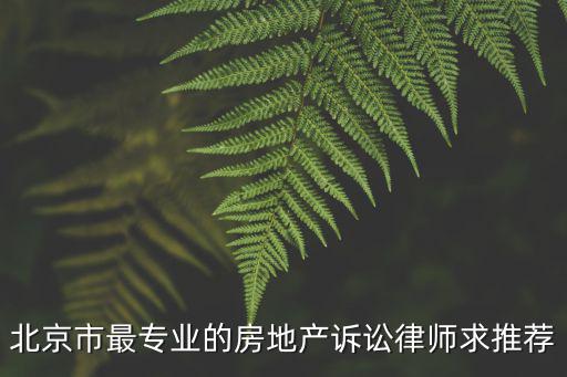 北京市最專業的房地產訴訟律師求推薦