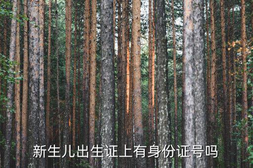天津市新生兒身份證號，有孩子的戶口計生辦要孩子的身份證號怎么回事孩子是早婚早育