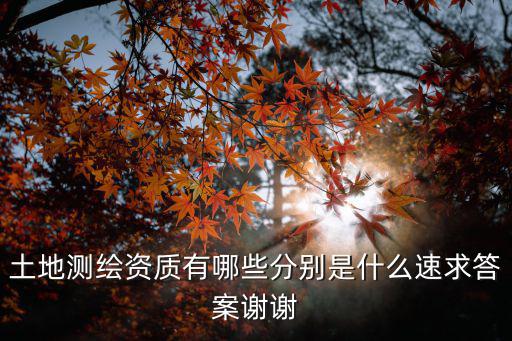 土地測繪資質有哪些分別是什么速求答案謝謝