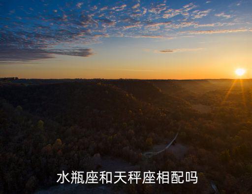  水瓶座和天秤座相配嗎