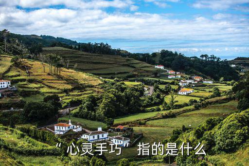 心靈手巧,日本學者:培養智力廣闊頭腦聰明孩子需常練手指