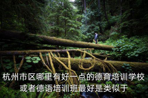 杭州市區(qū)哪里有好一點(diǎn)的德育培訓(xùn)學(xué)校或者德語(yǔ)培訓(xùn)班最好是類(lèi)似于