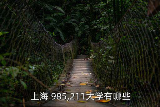  上海 985,211大學有哪些