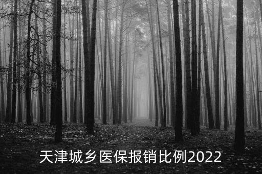 天津城鄉(xiāng)醫(yī)保報(bào)銷比例2022
