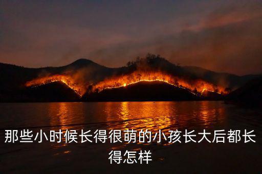 那些小時候長得很萌的小孩長大后都長得怎樣