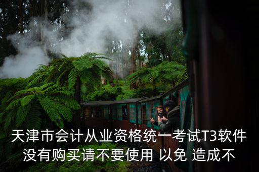 天津市會計從業資格統一考試T3軟件沒有購買請不要使用 以免 造成不