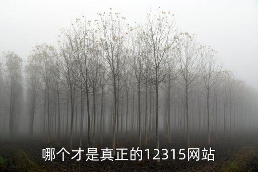 哪個才是真正的12315網站