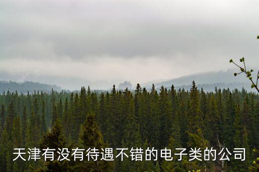 天津有沒有待遇不錯的電子類的公司