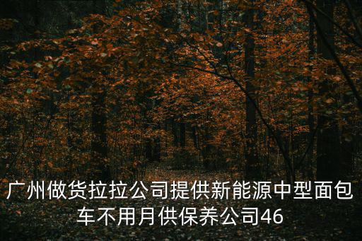 廣州做貨拉拉公司提供新能源中型面包車不用月供保養公司46