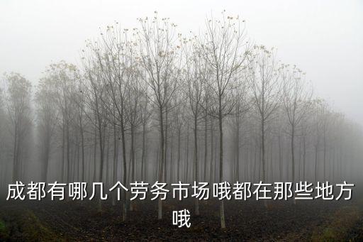 成都有哪幾個勞務市場哦都在那些地方哦