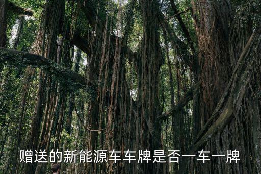 贈送的新能源車車牌是否一車一牌