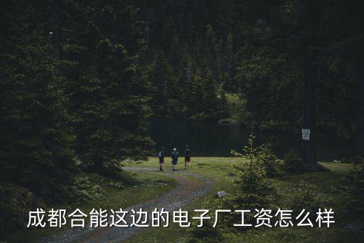 成都市合能創(chuàng)越軟件怎么樣，成都合能這邊的電子廠工資怎么樣