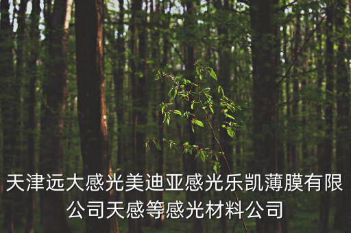 天津遠(yuǎn)大感光美迪亞感光樂(lè)凱薄膜有限公司天感等感光材料公司