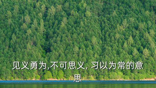 見義勇為,不可思義, 習以為常的意思