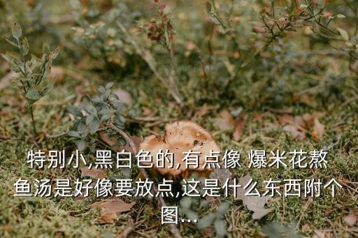 特別小,黑白色的,有點像 爆米花熬魚湯是好像要放點,這是什么東西附個圖...