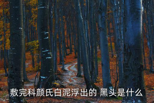 敷完科顏氏白泥浮出的 黑頭是什么