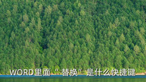 替換怎么操作,點擊全部替換替換需要的內(nèi)容