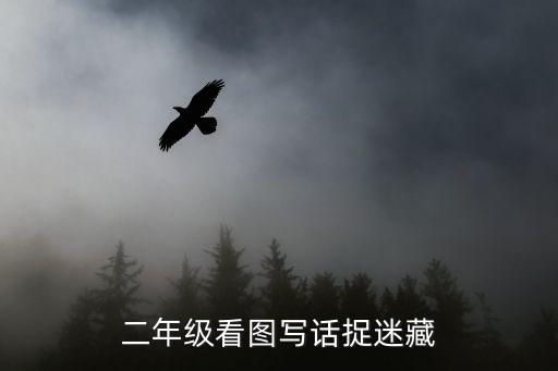 二年級看圖寫話捉迷藏