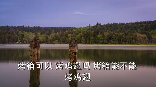  烤箱可以 烤雞翅嗎 烤箱能不能 烤雞翅