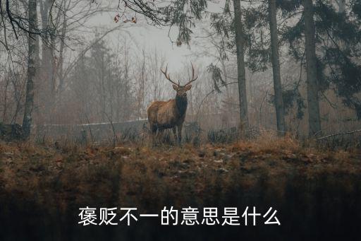 褒貶不一的意思是什么