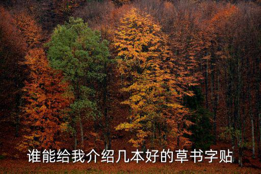 誰能給我介紹幾本好的草書字貼