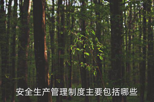 安全生產管理制度主要包括哪些