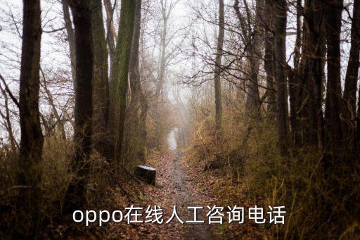 oppo在線人工咨詢電話