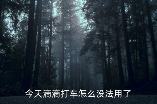 今天滴滴打車怎么沒(méi)法用了