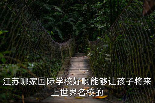 江蘇哪家國際學校好啊能夠讓孩子將來上世界名校的