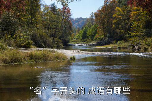 “名”字開頭的 成語有哪些