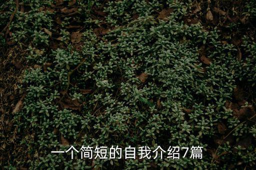 一個(gè)簡(jiǎn)短的自我介紹，簡(jiǎn)單的自我介紹