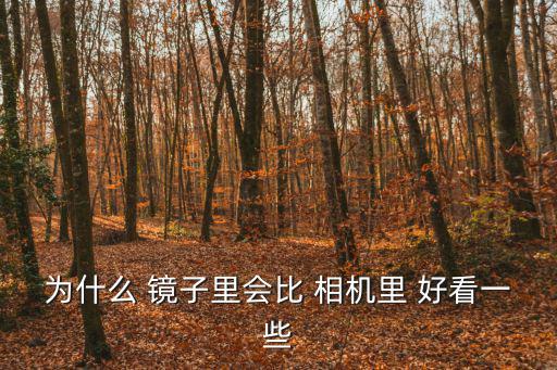 為什么鏡子里的我比相機里好看