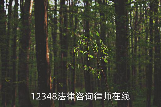 12348法律咨詢律師在線