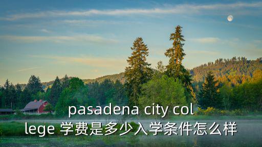 英迪國際學校收費標準，誰有中文的英迪各專業的學費表啊