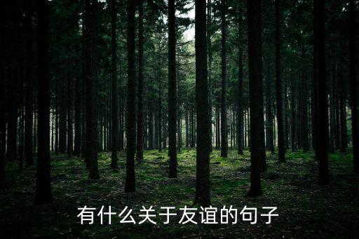 關于友誼的句子，關于友誼的經典話語