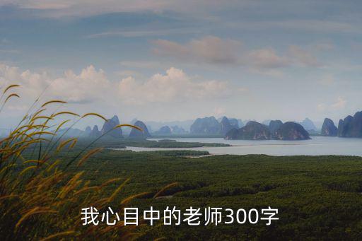 我心目中的老師300字