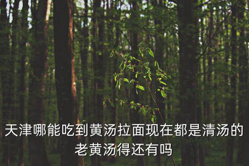 天津市河東區(qū)哪里有黃湯拉面，交口有個拉面館據說特別好吃是以前那種黃湯拉面有人知道在哪里嗎附近