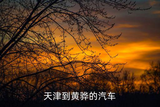 天津市到黃驊的客運車，天津到黃驊的汽車