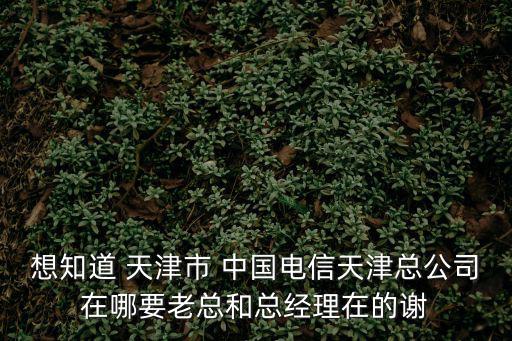 想知道 天津市 中國(guó)電信天津總公司在哪要老總和總經(jīng)理在的謝