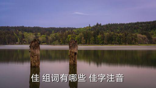 佳 組詞有哪些 佳字注音
