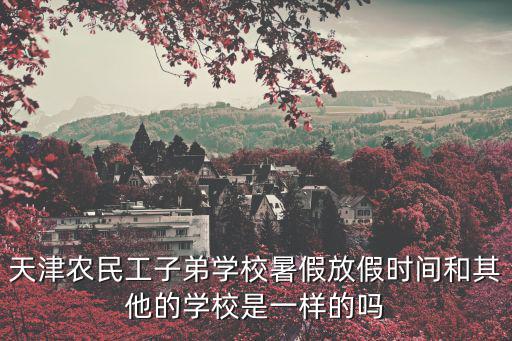 天津農民工子弟學校暑假放假時間和其他的學校是一樣的嗎