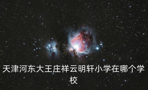 天津河東大王莊祥云明軒小學在哪個學校
