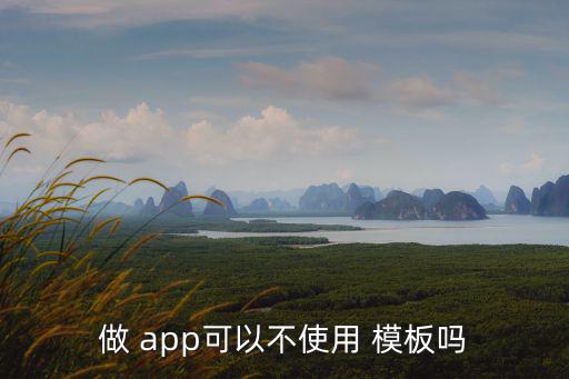 app模板,app定制開發比較好的app模式有哪些?