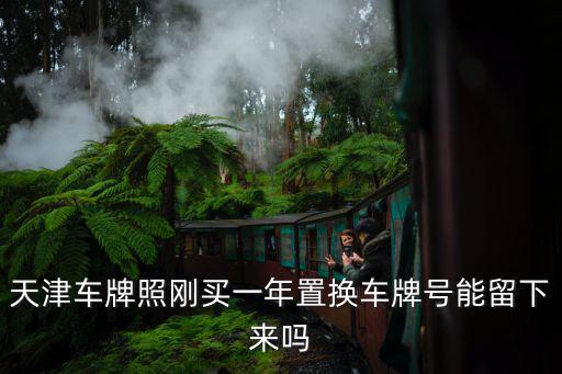 天津市新的機動車車牌保留政策，天津牌原二手車滿三年了買新車能保留原號牌嗎